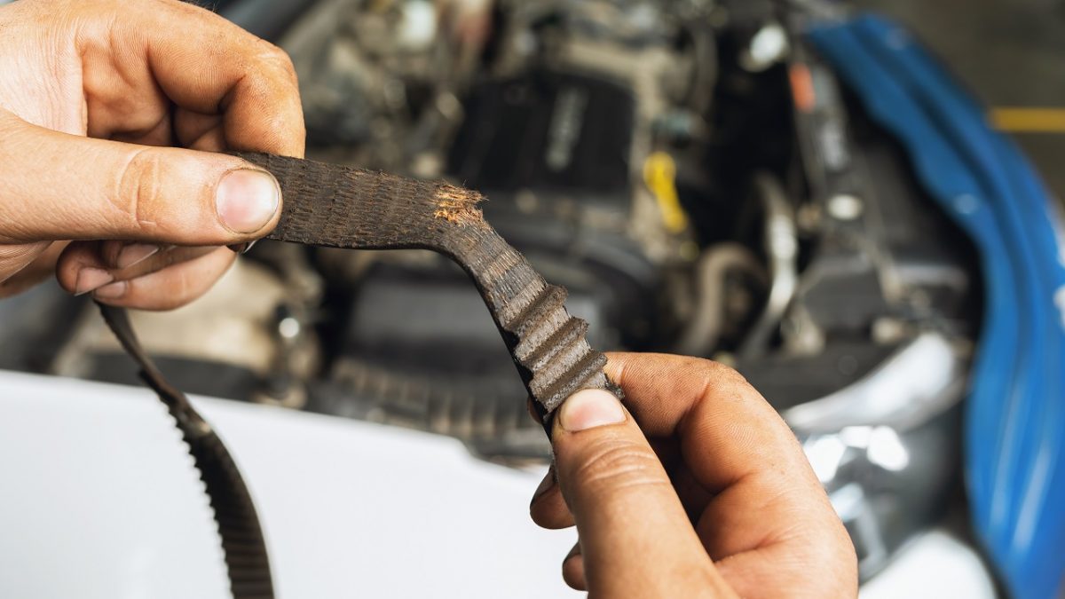 An auto mechanic shows a torn timing belt with worn teeth.