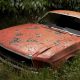 wrecked car left to rot
